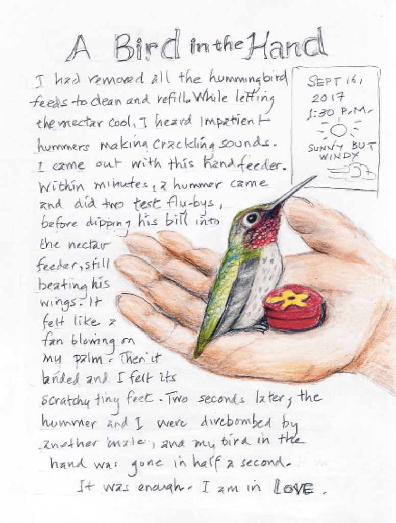 Backyard Bird Chronicles Amy Tan